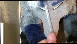 Video 1154109103: pov furry, furry fetish, pov facial cumshot, pov amateur facial, gay fetish cumshot