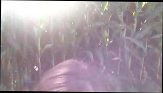 Watch the video about Deep throating in the corn field