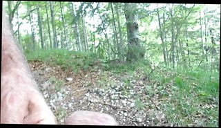 Watch the video about Wank in the forest ... and the birds are singing!