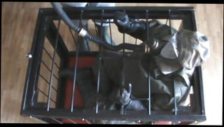 Video 1529109701: gay bdsm slave, slave cage, slave couple, military slave, slave hd, hungarian couple