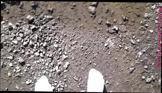 Watch the video about White Socks in the Puddle