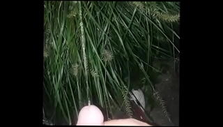 Video 593155255: pee pissing outdoor, cock pissing outdoors, pissing dicks, piss straight, public nature pissing