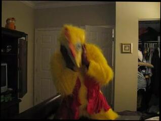 Video 498196303: furry alien, furry solo, feet solo, amateur solo male, furry cosplay, feet socks