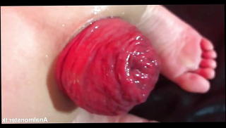 Video 1264865501: huge anal prolapse, homemade closeup, super closeup, very closeup, extreme closeups, homemade straight, anally ruined, homemade european