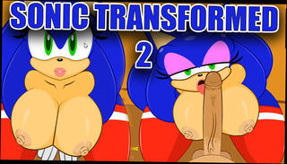 Watch the video about SONIC TRANSFORMED 2 by Enormou (Gameplay) Part 1