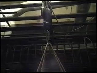 Video 146593601: breast bondage bdsm, cfnm bondage, bondage double, bondage straight, roped asian, rope tied, tight rope, boobs woman, boobs women, one woman, two woman