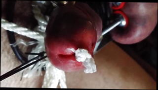 Video 216323501: balls bdsm cbt, bdsm clamped, gay cbt, amateur bdsm, man bdsm, hd bdsm, one ball, super man gay