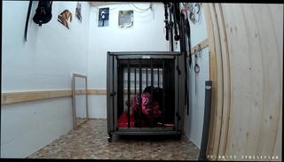 Video 779994895: slave cage, caged shemale