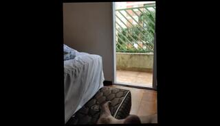 Video 1571685833: solo masturbation feet, dick solo masturbation, solo amateur masturbation, solo male masturbation, solo public masturbation, feet flash, feet outside, neighbors dick, old dick