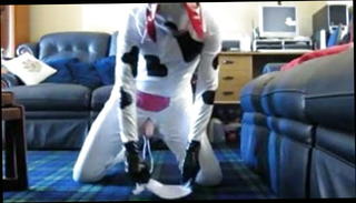 Video 183266101: milking gay, milking cow, man milk