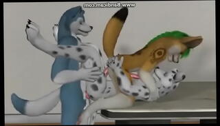 Video 381326945: furry 3d, furry threesome, gay furry cum, gay furry anal, gay furry blowjob