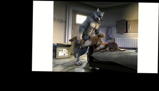 Video 1118579025: gay furry anal