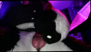 Video 973204903: furry solo, solo male cumshots gay, gay cum solo, solo amateur toys, furry dog, gay cop cum, gay police cops