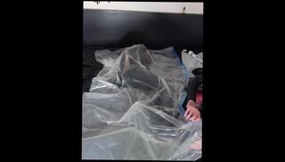 Watch the video about Edging vacuum packed pup Ferro