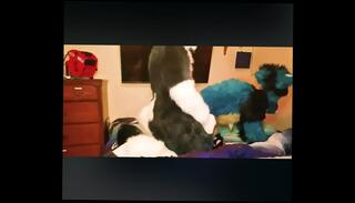 Watch the video about Furrys fuck on bed