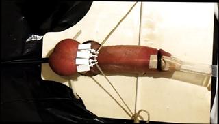 Video 347093801: clamp torture, clamps ball, clamps masturbation, handjob torture, gay torture, torturing man, balls hd