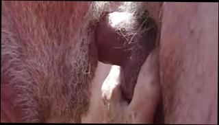 Video 310029301: gay sex porn daddy, gay porn group sex, beach gay porn, gay mouth sex, outdoor gay porn