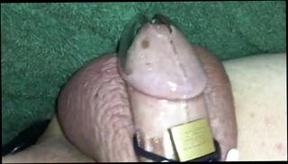 Video 331846201: cuckold wife humiliates, caged cuckold, cage masturbate, small cock humiliation, gay humiliation, humiliation amateur, fat humiliation, man cuckold