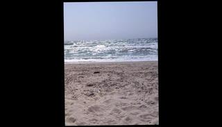 Video 1571459173: amateur sounding, amateur beach