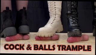 Video 1605678661: cbt femdom bdsm mistress, foot fetish femdom mistress, latex mistress femdom slave, mistress tortures slaves balls, busting cbt femdom bdsm, mistress foot domination, cbt cock ball torture, cock bdsm fetish cum, dominated slave sex, orgasm foot fetish, amateur foot fetish, foot domination trample, shoejob foot job, foot fetish boots, foot fetish high heels, extreme femdom cbt, foot crush fetish, italian foot fetish, leather femdom mistress, foot fetish stockings, foot fetish hd, straight foot ball, tiny balls, glory hole bdsm, three dominant, sexy ball, perfect cock